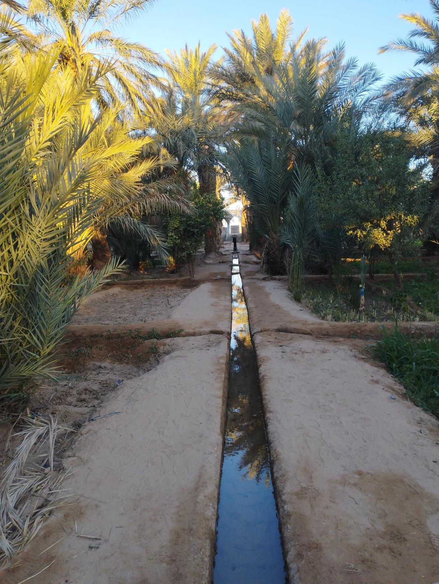 Maison Merzouga Guest House Exterior photo